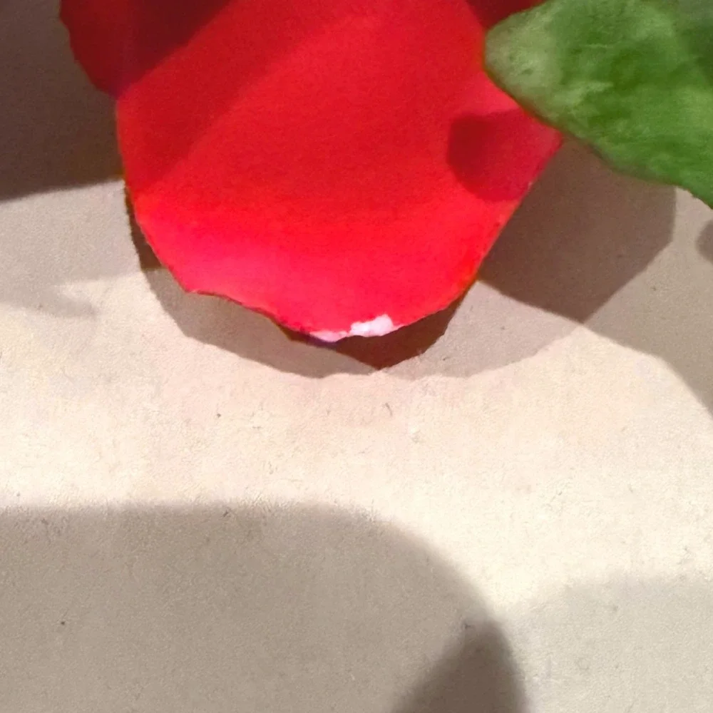 Fabar Capodimonte Red Roses Porcelain Flower Figurine Made in Italy Hand Made